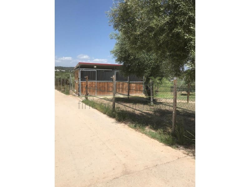 4 soveværelse Finca/Landehus til salg i Sant Jordi med swimmingpool garage - € 445.000 (Ref: 9568930)