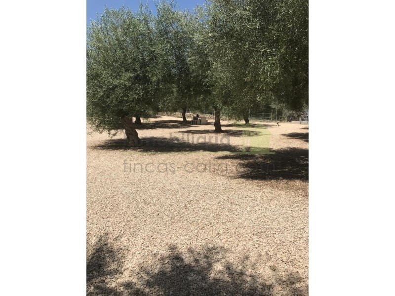 4 soveværelse Finca/Landehus til salg i Sant Jordi med swimmingpool garage - € 445.000 (Ref: 9568930)