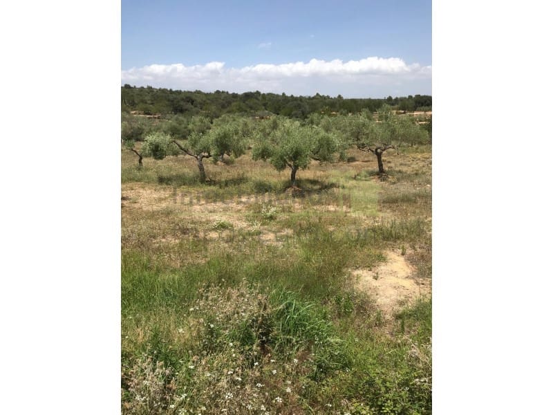 4 soveværelse Finca/Landehus til salg i Sant Jordi med swimmingpool garage - € 445.000 (Ref: 9568930)