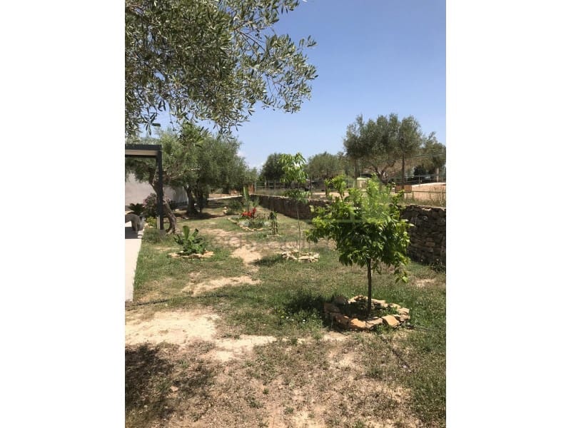 4 soveværelse Finca/Landehus til salg i Sant Jordi med swimmingpool garage - € 445.000 (Ref: 9568930)