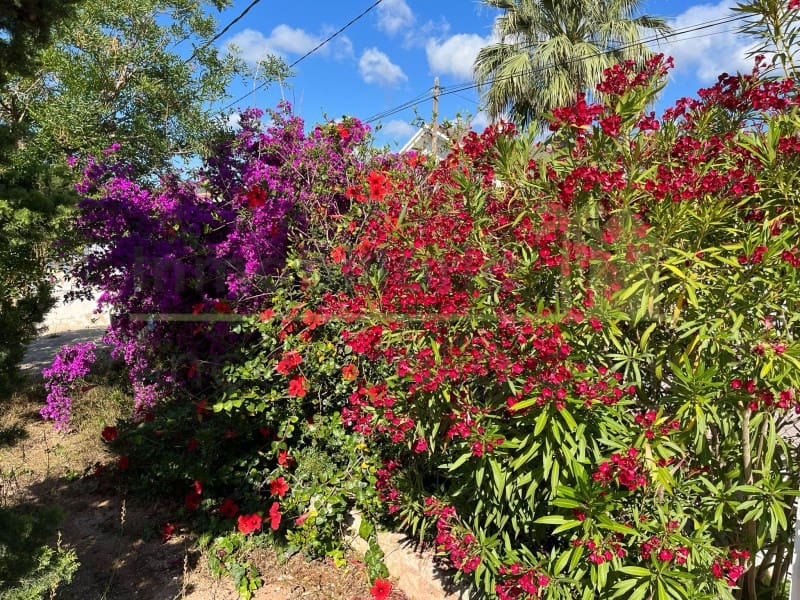 8 makuuhuone Huvila myytävänä paikassa Alcanar mukana uima-altaan 
autotalli - 447 000 € (Ref: 9568931)