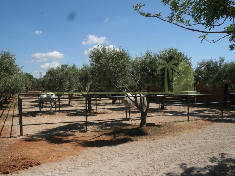 9 soveværelse Finca/Landehus til salg i Cervera del Maestre / Cervera del Maestrat - € 1.200.000 (Ref: 9568932)