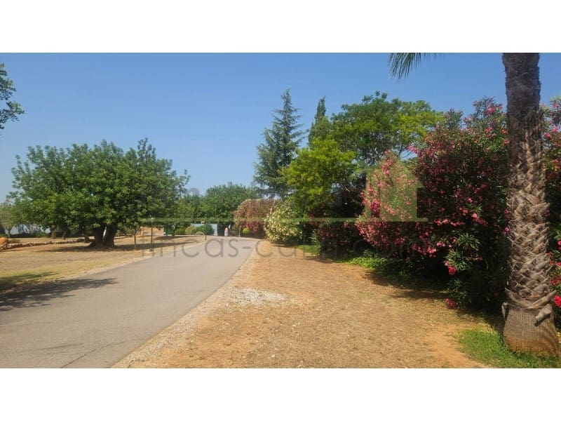 3 sypialnia Finka/Dom wiejski na sprzedaż w Calig z basenem garażem - 585 000 € (Ref: 9568935)