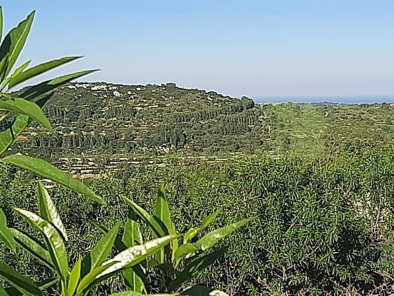 Undeveloped Land for sale in Cervera del Maestre / Cervera del Maestrat - € 85,000 (Ref: 9568936)