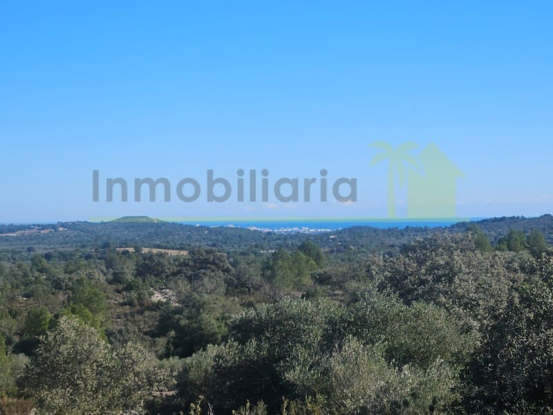 Teren niezagospodarowany na sprzedaż w Cervera del Maestre / Cervera del Maestrat - 50 000 € (Ref: 9568937)