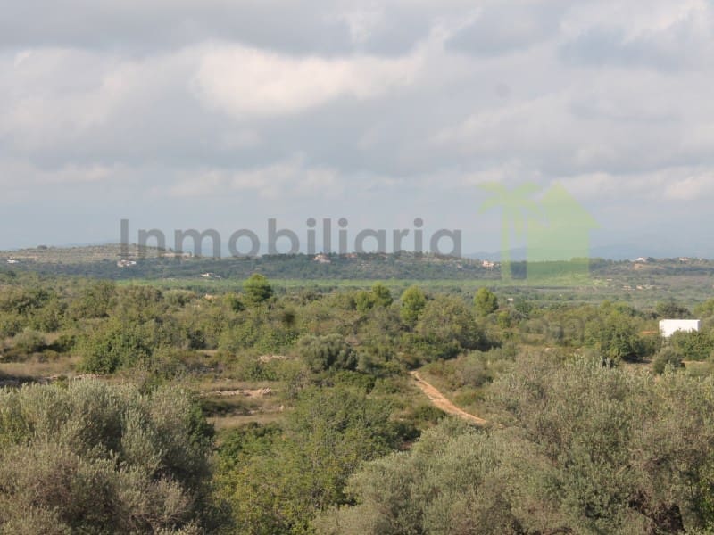 Teren niezagospodarowany na sprzedaż w Cervera del Maestre / Cervera del Maestrat - 50 000 € (Ref: 9568937)