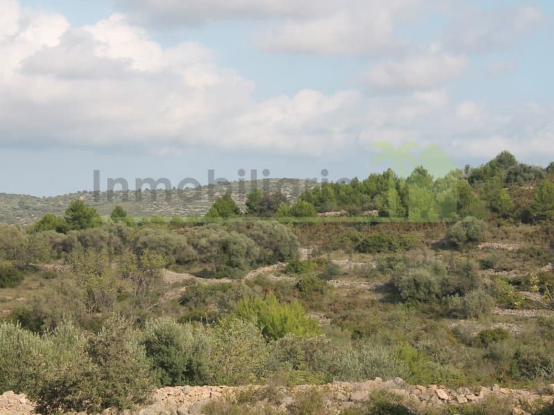 Teren niezagospodarowany na sprzedaż w Cervera del Maestre / Cervera del Maestrat - 50 000 € (Ref: 9568937)