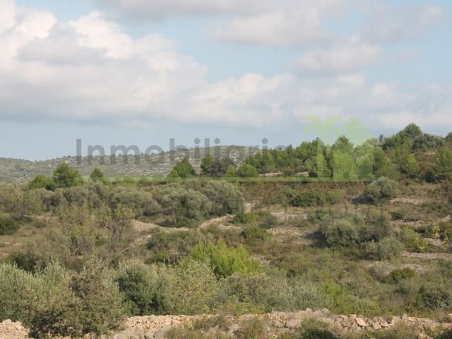 Rakentamaton maa myytävänä paikassa Cervera del Maestre / Cervera del Maestrat - 50 000 € (Ref: 9568937)