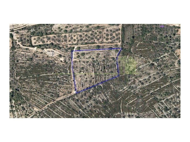 Teren niezagospodarowany na sprzedaż w Cervera del Maestre / Cervera del Maestrat - 50 000 € (Ref: 9568937)