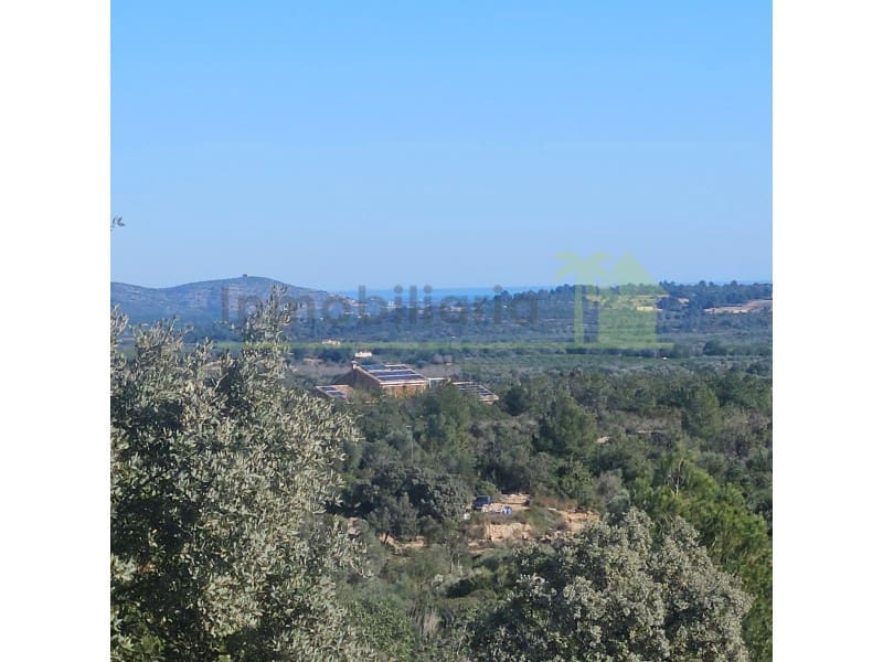 Teren niezagospodarowany na sprzedaż w Cervera del Maestre / Cervera del Maestrat - 50 000 € (Ref: 9568937)