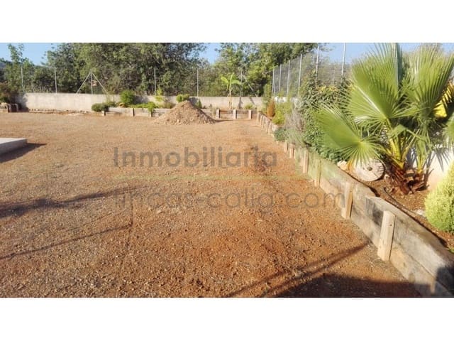 Grunde uden byggetilladelser til salg i Peñíscola - € 75.000 (Ref: 9568939)