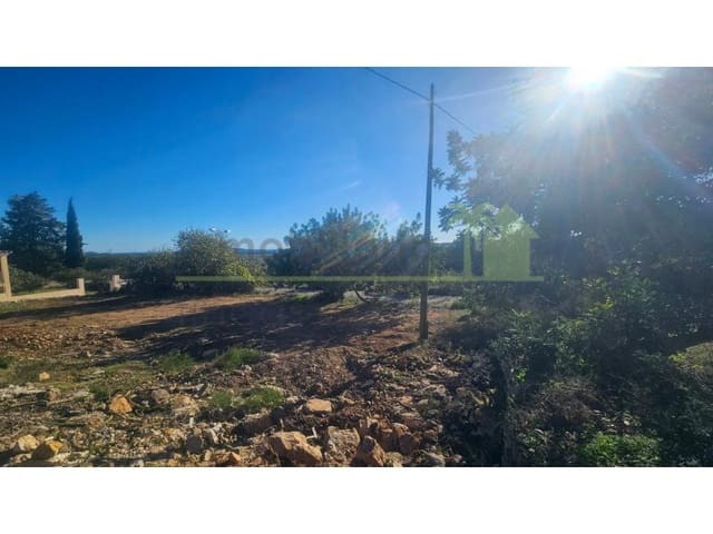 Terreno Não Urbanizado para venda em Sant Jordi - 40 000 € (Ref: 9568940)