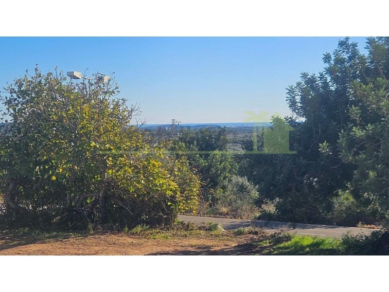 Terreno Não Urbanizado para venda em Sant Jordi - 40 000 € (Ref: 9568940)