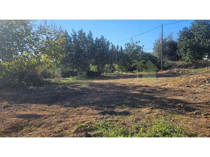 Terreno Não Urbanizado para venda em Sant Jordi - 40 000 € (Ref: 9568940)
