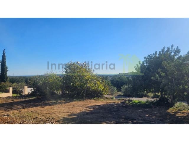 Terreno Não Urbanizado para venda em Sant Jordi - 40 000 € (Ref: 9568940)