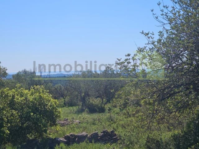 Teren niezagospodarowany na sprzedaż w Sant Jordi - 90 000 € (Ref: 9568941)