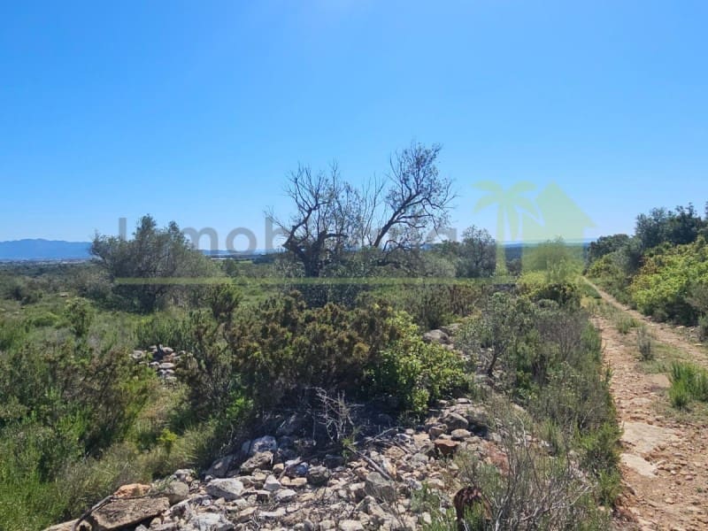 Teren niezagospodarowany na sprzedaż w Sant Jordi - 90 000 € (Ref: 9568941)