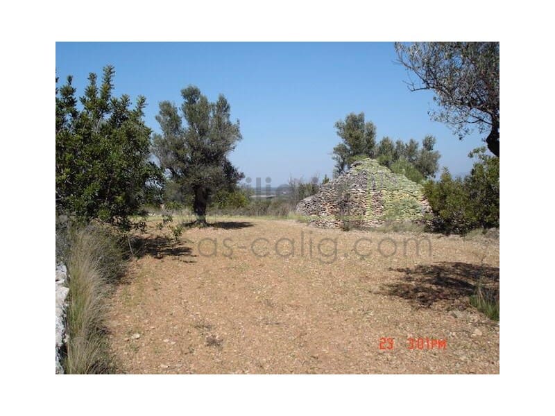 Teren niezagospodarowany na sprzedaż w Sant Jordi - 90 000 € (Ref: 9568941)