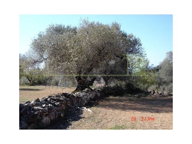 Teren niezagospodarowany na sprzedaż w Sant Jordi - 90 000 € (Ref: 9568941)