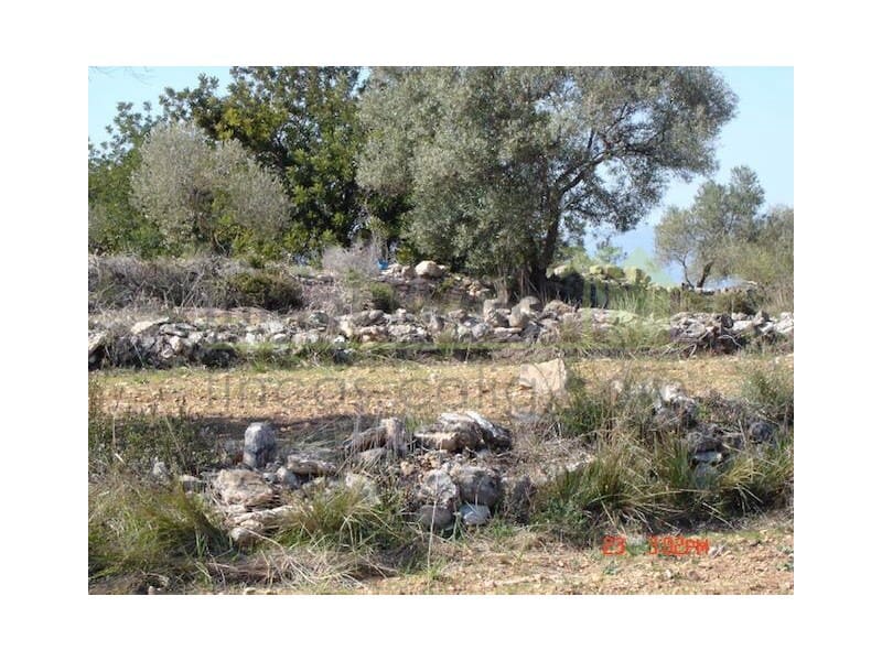 Teren niezagospodarowany na sprzedaż w Sant Jordi - 90 000 € (Ref: 9568941)