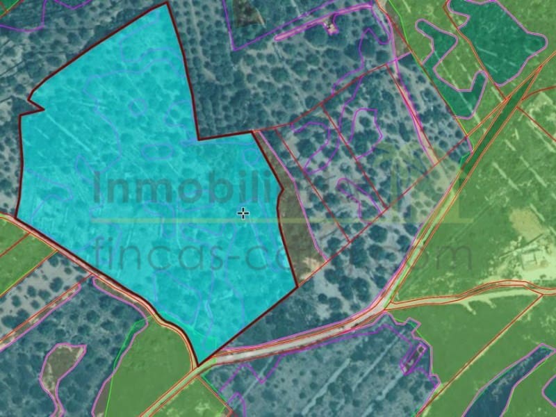 Teren niezagospodarowany na sprzedaż w Sant Jordi - 90 000 € (Ref: 9568941)