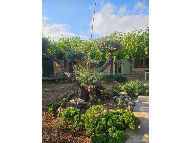 7 soveværelse Finca/Landehus til salg i Godall - € 385.000 (Ref: 9568943)