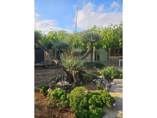 7 soveværelse Finca/Landehus til salg i Godall - € 385.000 (Ref: 9568943)