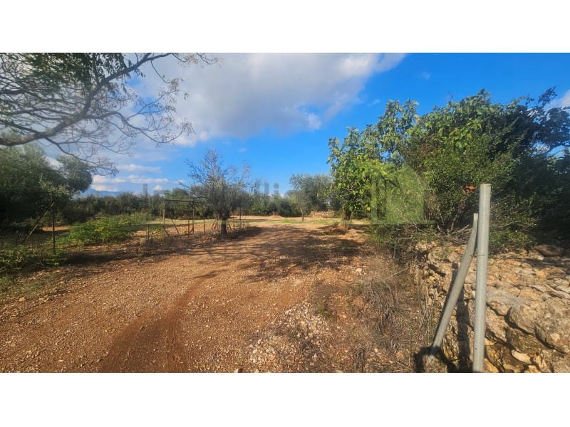 7 soveværelse Finca/Landehus til salg i Godall - € 385.000 (Ref: 9568943)