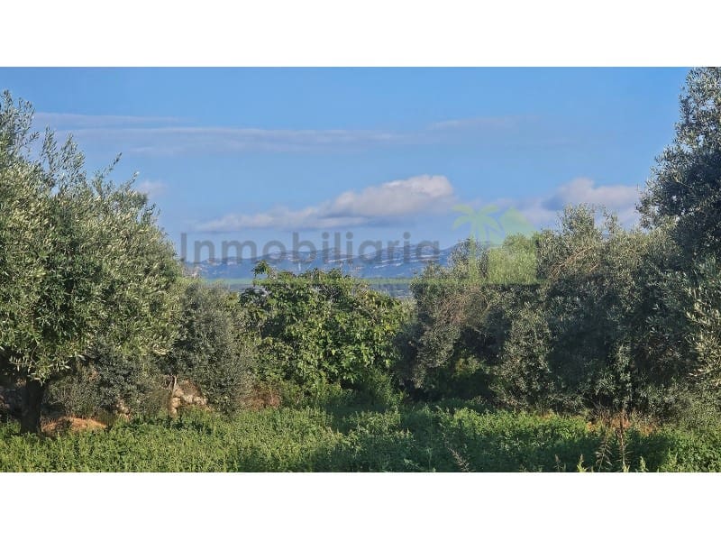 7 soveværelse Finca/Landehus til salg i Godall - € 385.000 (Ref: 9568943)