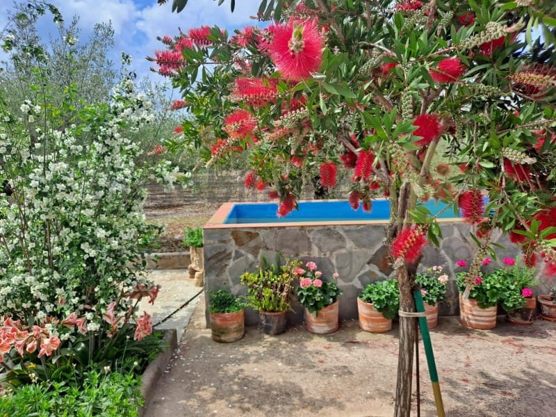 1 soveværelse Finca/Landehus til salg i Calig med swimmingpool - € 150.000 (Ref: 9568945)