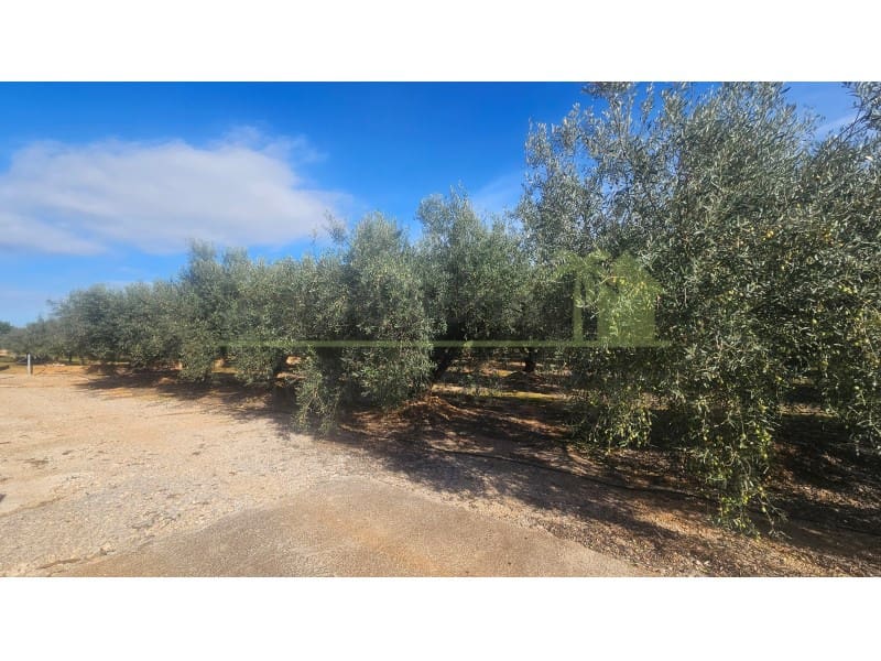 1 soveværelse Finca/Landehus til salg i Calig med swimmingpool - € 150.000 (Ref: 9568945)