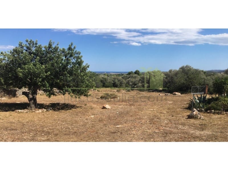 3 makuuhuone Maalaistalo myytävänä paikassa Calig - 260 000 € (Ref: 9568946)