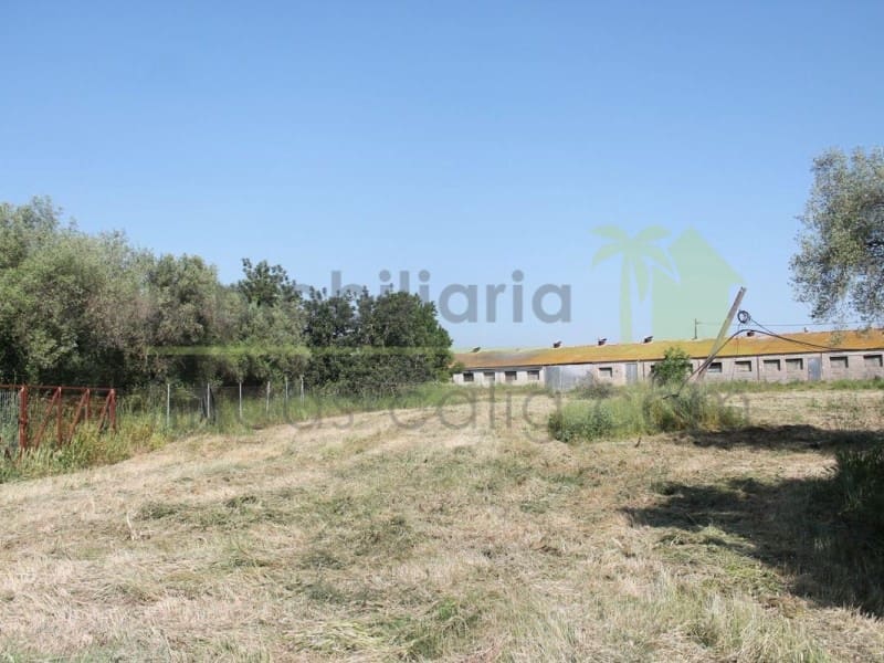 Landgrundstück zu verkaufen in Traiguera - 130.000 € (Ref: 9574876)