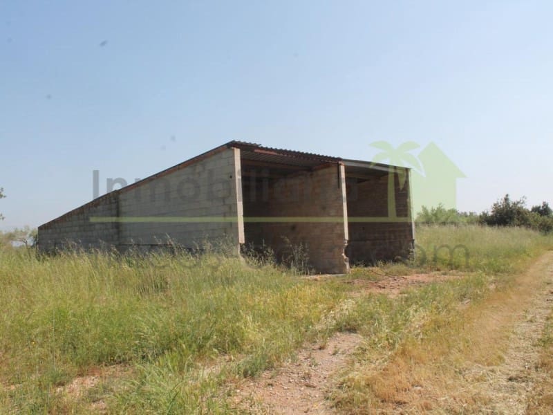 Landgrundstück zu verkaufen in Traiguera - 130.000 € (Ref: 9574876)