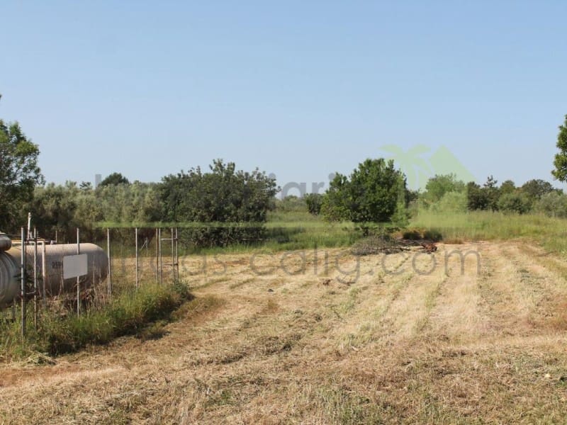 Landgrundstück zu verkaufen in Traiguera - 130.000 € (Ref: 9574876)