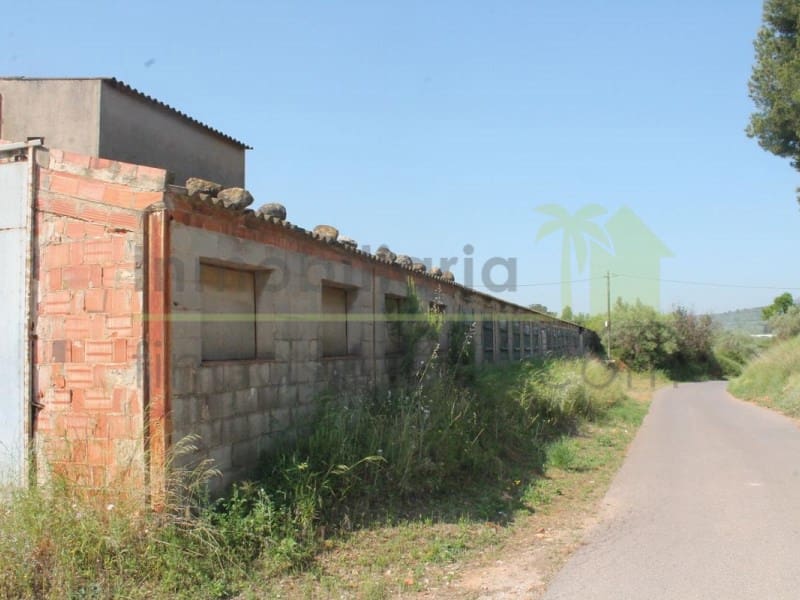 Landgrundstück zu verkaufen in Traiguera - 130.000 € (Ref: 9574876)