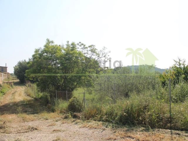 Landgrundstück zu verkaufen in Traiguera - 130.000 € (Ref: 9574876)