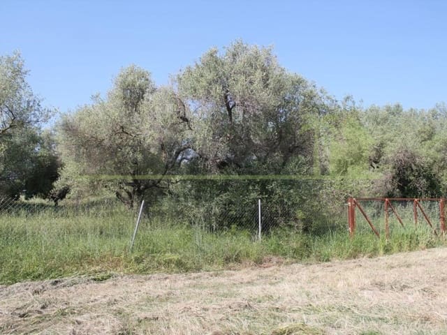 Landgrundstück zu verkaufen in Traiguera - 130.000 € (Ref: 9574876)