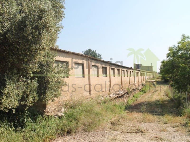 Landgrundstück zu verkaufen in Traiguera - 130.000 € (Ref: 9574876)