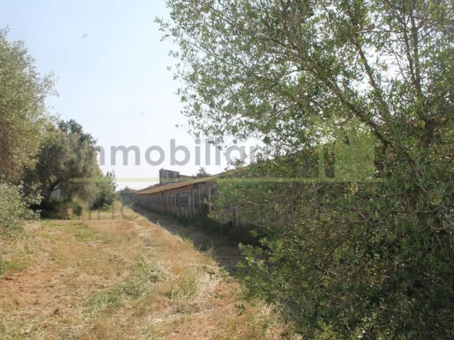 Landgrundstück zu verkaufen in Traiguera - 130.000 € (Ref: 9574876)