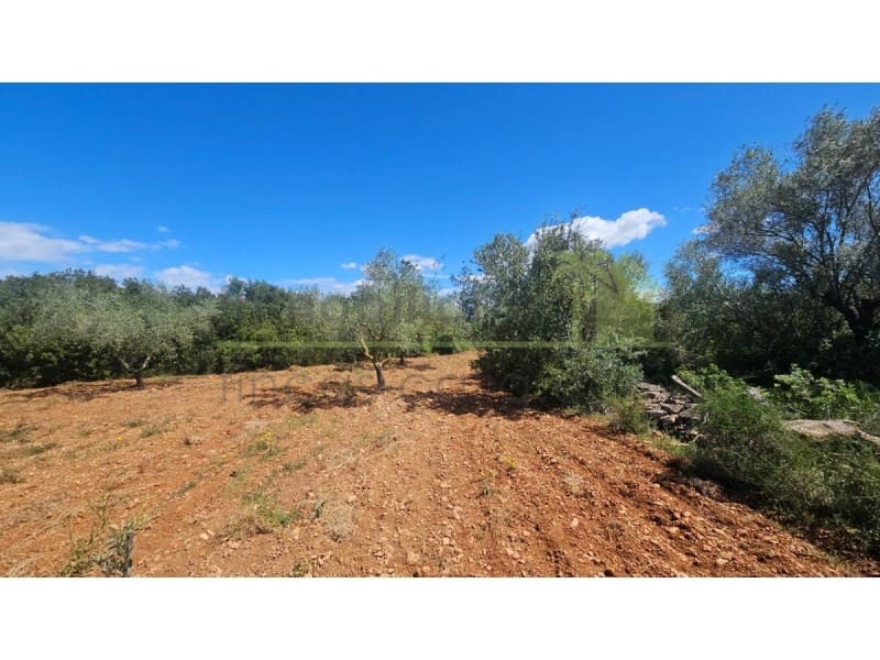 Teren niezagospodarowany na sprzedaż w Calig - 35 000 € (Ref: 9591464)