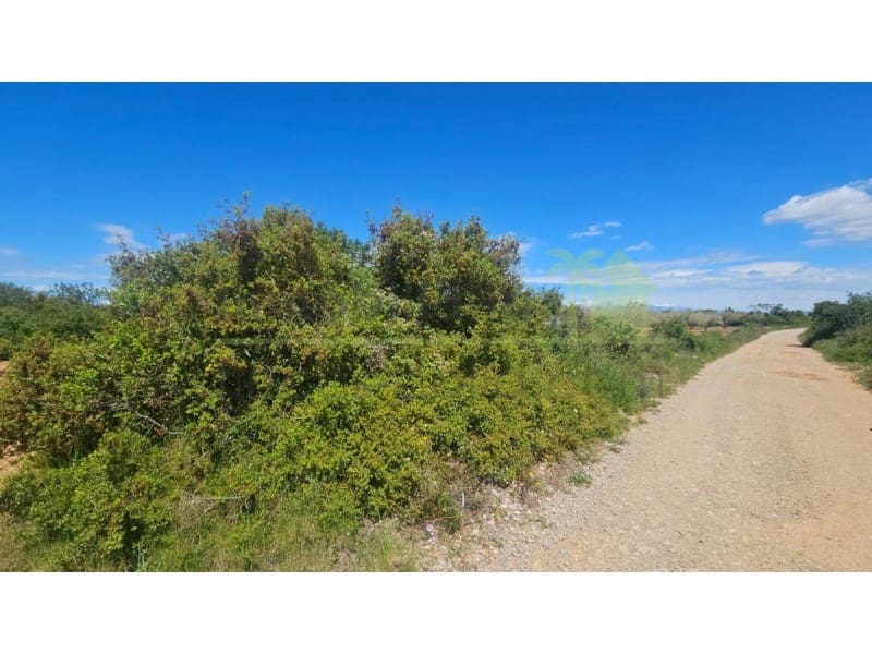 Teren niezagospodarowany na sprzedaż w Calig - 35 000 € (Ref: 9591464)