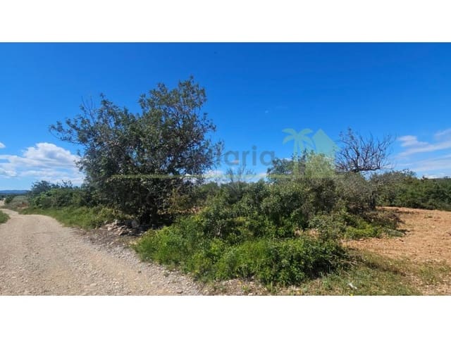 Terreno/Finca Rústica en Càlig en venta - 35.000 € (Ref: 9591464)