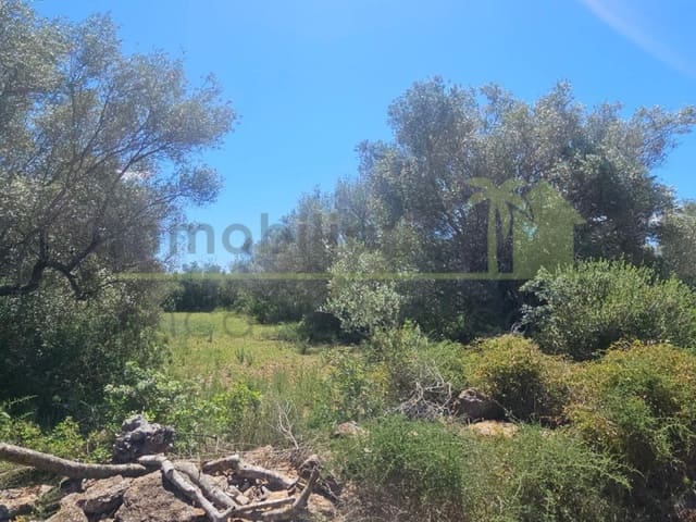 Terreno/Finca Rústica en Càlig en venta - 35.000 € (Ref: 9591464)