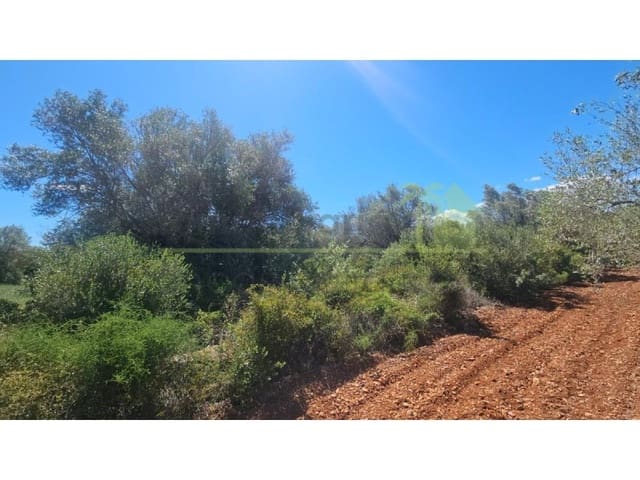 Terreno/Finca Rústica en Càlig en venta - 35.000 € (Ref: 9591464)