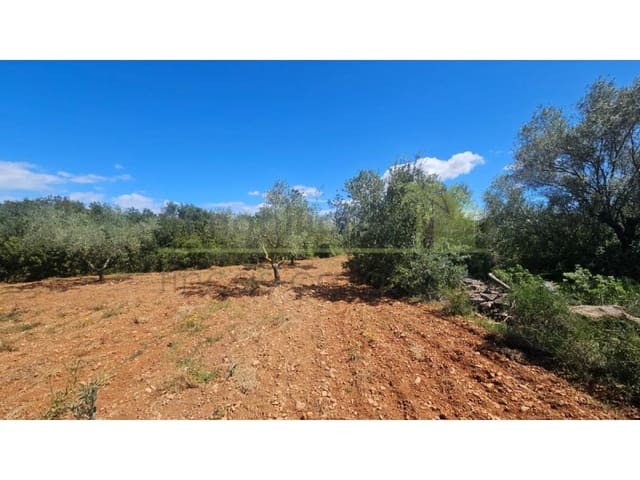 Terreno/Finca Rústica en Càlig en venta - 35.000 € (Ref: 9591464)