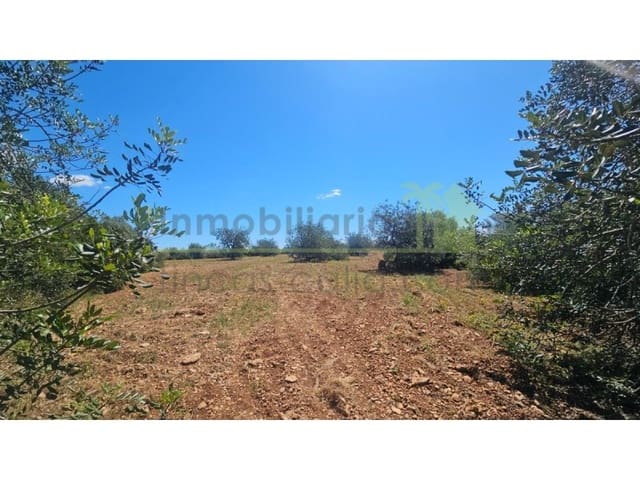 Terreno/Finca Rústica en Càlig en venta - 35.000 € (Ref: 9591464)