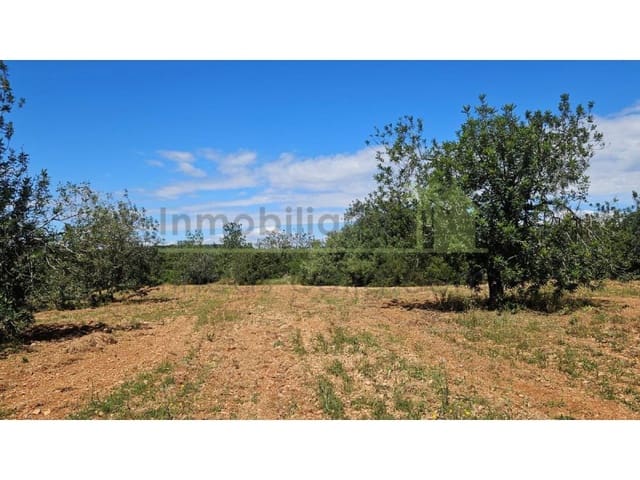 Terreno/Finca Rústica en Càlig en venta - 35.000 € (Ref: 9591464)