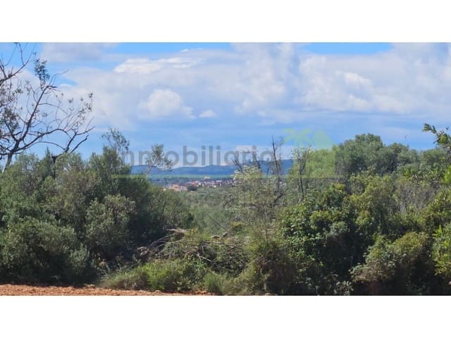 Terreno/Finca Rústica en Càlig en venta - 35.000 € (Ref: 9591464)