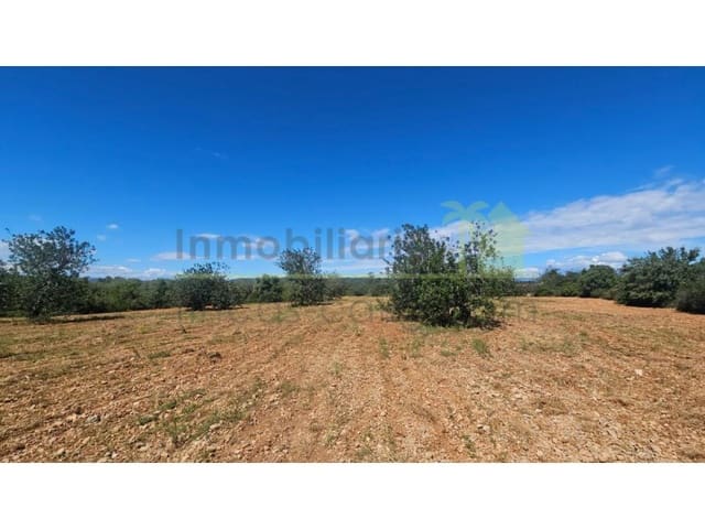 Terreno/Finca Rústica en Càlig en venta - 35.000 € (Ref: 9591464)